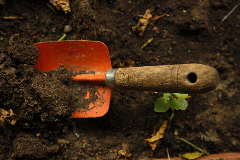 无人,横图,室外,白天,小的,铲子,工具,泥土,园艺,一个,自然,摄影,单个,环境,开端,彩图