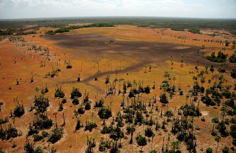 无人,横图,俯视,室外,白天,棕榈树,巴西,云,风景,天空,自然,南美,摄影,宁静,环境,三角洲,冒险,彩图,高角度拍摄,旅行