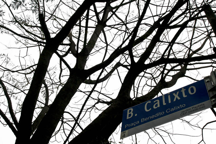 无人,横图,室外,白天,仰视,时尚,通讯,指示牌,标志,路标,枝,标识,路牌,天空,自然,t台,摄影,指导,英文字母,发短信,身份,交通标志,控制面板,万里无云,方向标,时装表演,时装秀,t型台,走秀,彩图,低角度拍摄,旅行