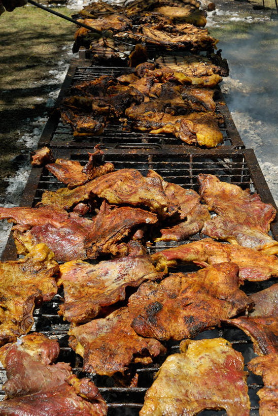 无人,竖图,俯视,室外,白天,烧烤,许多,准备,阴影,丰富,蒸汽,肉,很多,热,饮食,草,摄影,清新,用具,白肉,健康食物,烤肉架,布宜诺斯艾利斯,烹调,彩图,高角度拍摄