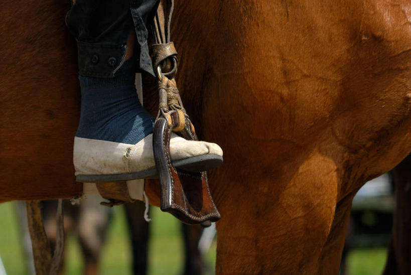 腿,一个人,牛仔,横图,室外,特写,白天,马,鞋子,美国,朦胧,模糊,靴子,家畜,人体,摄影,食草动物,生活方式,部分,北美,北美洲,美洲,牛仔靴,偶蹄目,北亚美利加洲,亚美利加洲,布宜诺斯艾利斯,马镫,彩图,美利坚合众国