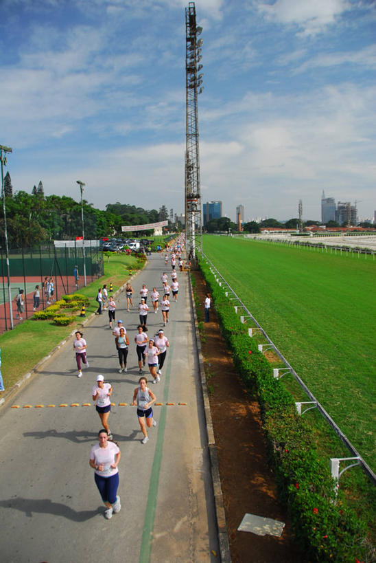 成年人,竖图,俯视,室外,白天,运动服,草坪,路,许多人,一群人,活力,摄影,决心,透视图,长跑,挑战,敌对,圣保罗,马拉松赛跑,女人,彩图,高角度拍摄