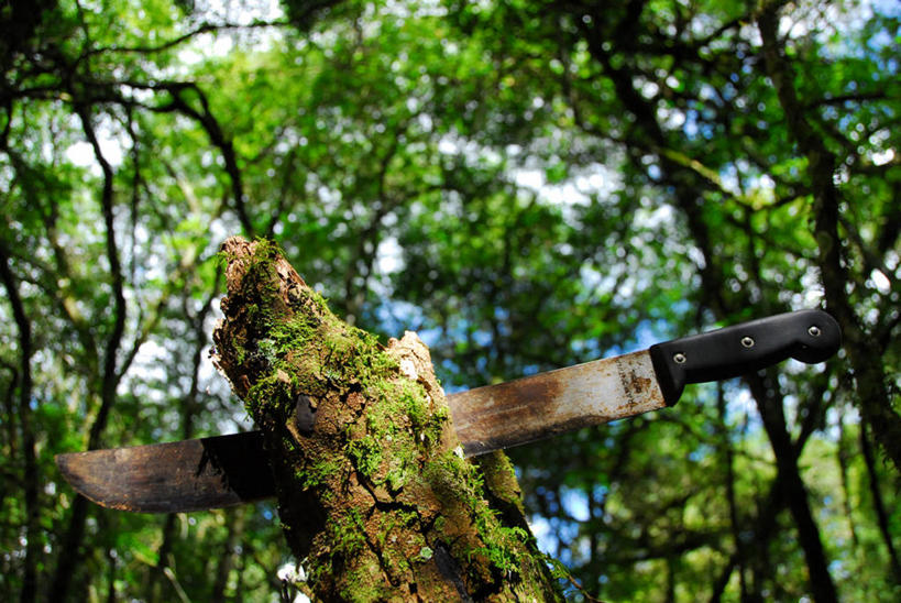 无人,牛仔,横图,室外,白天,树林,废弃,生锈,树桩,树干,自然,摄影,报废,腐蚀,侵蚀,废物,丢弃,弯刀,放弃,抛弃,卡住,圣卡塔琳娜,腐化,摈弃,锈迹斑斑,彩图,屏弃,摈斥,摒除