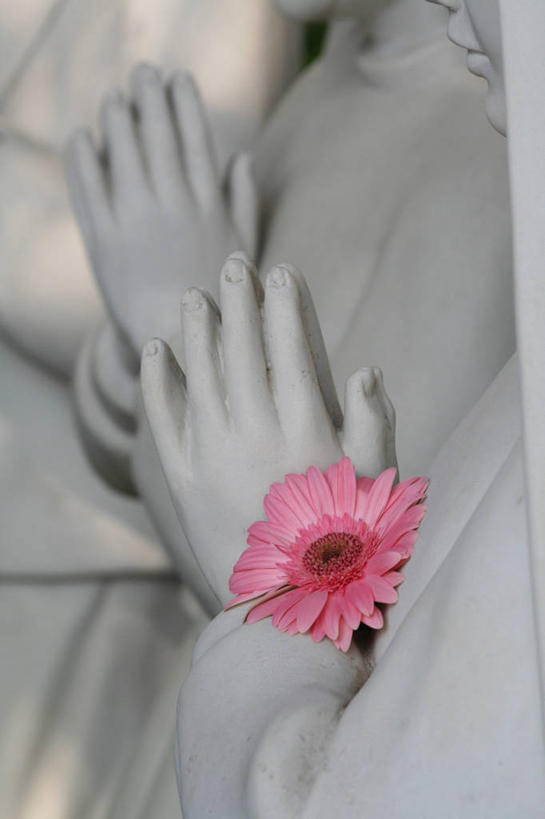 无人,握手,竖图,室外,特写,白天,雕像,非洲雏菊,自然,祈祷,思考,摄影,宗教,脆弱,基督教,圣玛丽,圣保罗,灵性,搀手,拉手,手拉手,手握手,彩图