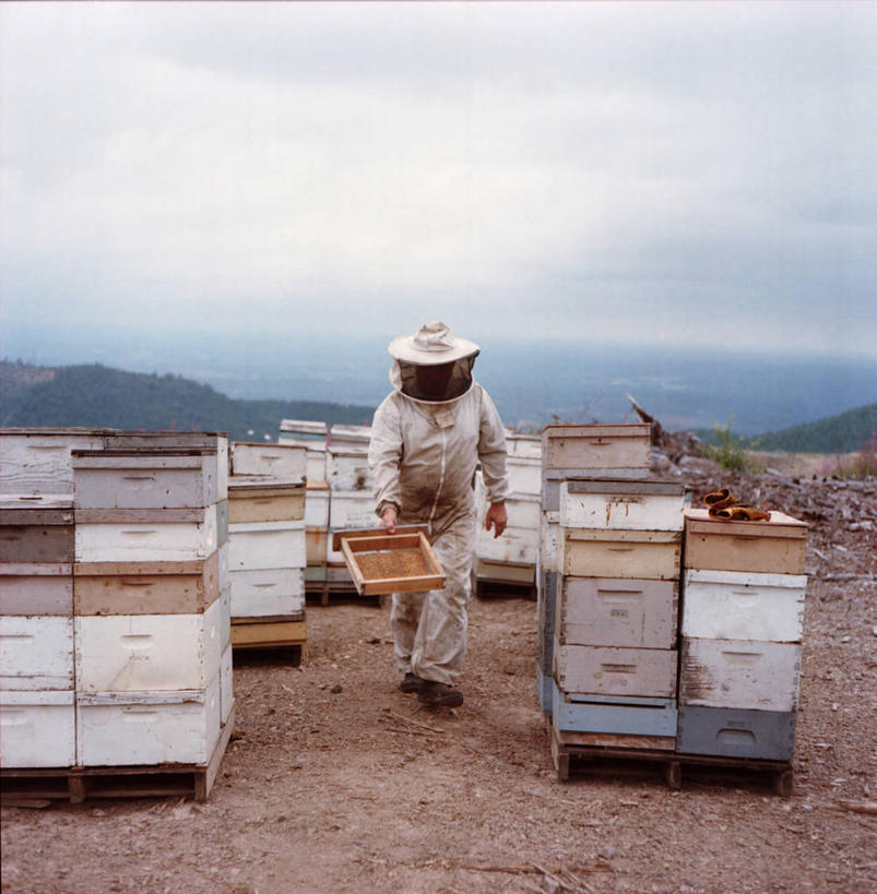 西方人,成年人,中年人,老年人,一个人,竖图,室外,白天,正面,工作服,制服,安全,欧洲,美国,欧洲人,仅一个男性,仅一个人,仅一个中年男性,堆叠,防护,拿着,天空,摄影,保护,饲养,保险,防护服,花粉,蜂箱,华盛顿州,卡斯基德山脉,保全,周全,安稳,安定,工作制服,平安,男人,男性,中年男性,白种人,彩图,工作套服