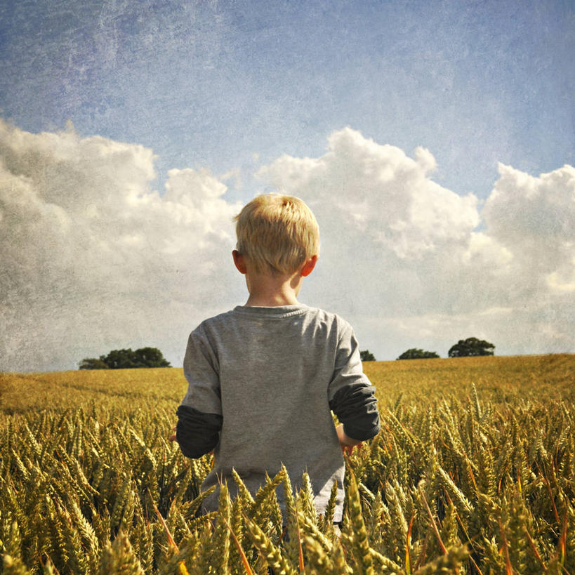 儿童,脸,头,脸颊,头发,一个人,方图,室外,白天,纯洁,农业,农作物,小麦,英国,仅一个男性,仅一个人,田地,云,T恤,休闲装,肩膀,小孩,背面,天空,自然,夏天,仅一个小孩,金色,可爱,童年,童趣,摄影,生长,宁静,童真,烂漫,无邪,莱切斯特,天真,男孩,男人,男性,孩子,头部,脸部,脸蛋,面部,彩图,男生