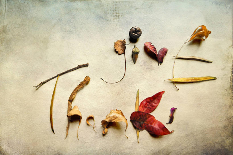 无人,横图,室外,白天,叶子,美国,纹路,纹理,排列,摄影,创造力,脆弱,加利福尼亚,干的,肌理,嫩枝,想法,彩图,圣玛丽亚