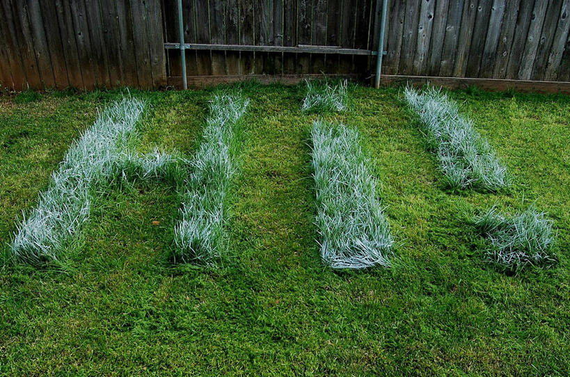 无人,横图,室外,白天,通讯,草坪,美国,木制,文字,庭院,单词,摄影,喷漆,英文字母,涂料,创造力,萨克拉门托,想法,北加利福尼亚州