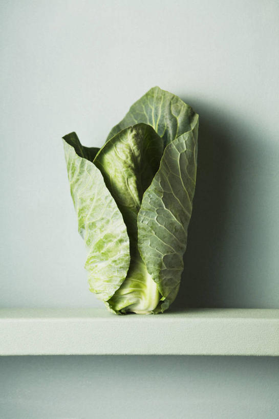 无人,竖图,蔬菜,静物,叶子,蓝色背景,莴苣,饮食,一个,甘蓝,力量,摄影,有机食品,单个,简单,清新,健康食物,彩图,影棚拍摄,壁架