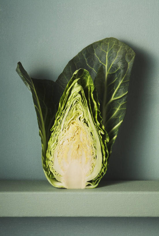 无人,竖图,室内,特写,蔬菜,静物,叶子,蓝色背景,莴苣,饮食,一个,摄影,有机食品,单个,简单,清新,健康食物,彩图,影棚拍摄,壁架