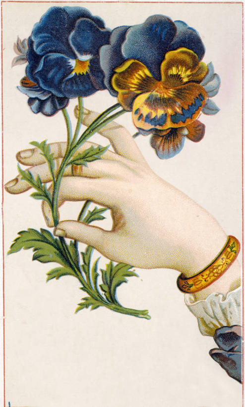 成年人,手,一个人,竖图,插画,白色背景,数码,科技,叶子,仅一个女性,阴影,网络,明信片,高光,几何,计算机图形,古典,合成,图画,画,花,自然,人体,手镯,宁静,怀旧,电脑合成图,数码合成图,高雅,脆弱,简单,合成图,清新,记忆,漫画,三色紫罗兰,写实,具体,具象,美术工艺,彩图,影棚拍摄