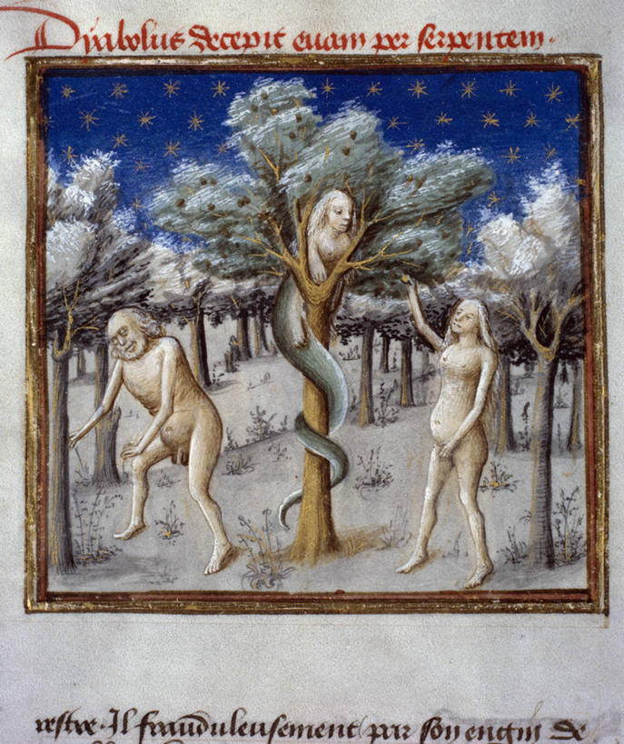 裸体,两个人,竖图,插画,室外,特写,白天,数码,科技,阴影,网络,蛇,中世纪,高光,几何,计算机图形,合成,图画,历史,画,树,古代,手稿,宗教,部分,电脑合成图,数码合成图,基督教,合成图,漫画,写实,具体,具象,旧约,灵性,伊甸园,夏娃,亚当,拉丁文,美术工艺,彩图,拟人,过去