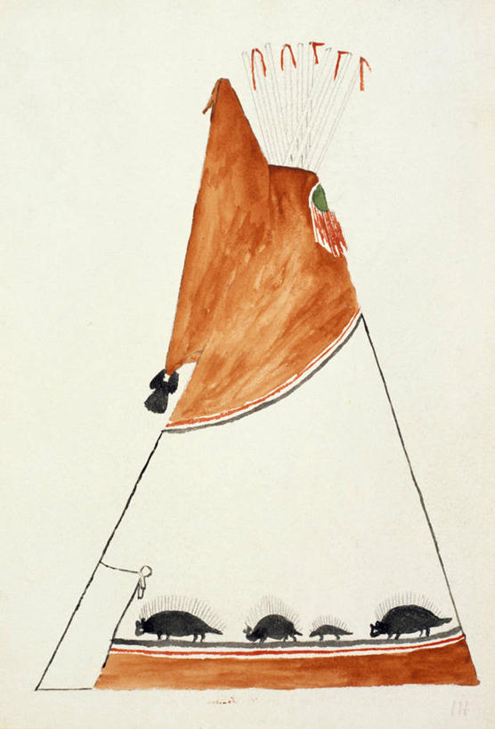 无人,竖图,插画,白色背景,绘画,数码,科技,哺乳动物,豪猪,野生动物,阴影,艺术,装饰,网络,帐篷,高光,几何,计算机图形,古典,合成,图画,历史,文化,画,一个,动物,工艺品,品味,单个,美术,电脑合成图,数码合成图,高雅,合成图,露营,野营,漫画,宿营,写实,具体,具象,美学,美术工艺,海龟,彩图,传统文化