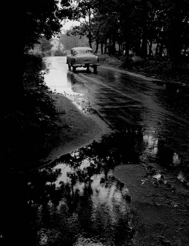 无人,竖图,黑白,室外,白天,雨,街道,路,汽车,反射,树,摄影,沥青,水坑