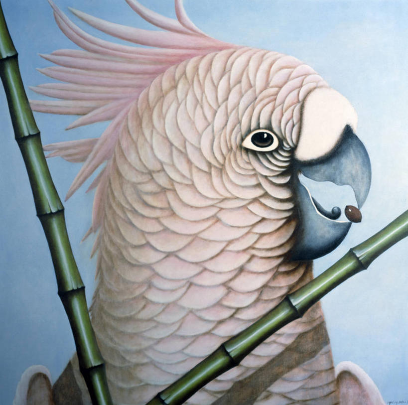 无人,横图,方图,插画,室外,特写,白天,侧面,绘画,数码,科技,野生动物,鹦鹉,油画,阴影,艺术,网络,枝,高光,几何,计算机图形,古典,合成,图画,文化,画,工艺品,品味,颜色,头像,美术,电脑合成图,数码合成图,高雅,合成图,漫画,写实,具体,具象,美学,美冠鹦鹉,美术工艺,竹,彩图