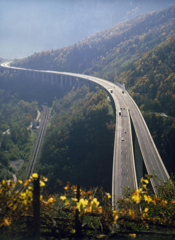 无人,竖图,俯视,室外,白天,旅游,度假,美景,森林,山,路,公路,汽车,瑞士,弯曲,景观,交通,山谷,联系,娱乐,花,树,风景,自然,享受,休闲,景色,放松,运输,摄影,蜿蜒,自然风光,提契诺州,彩图,高角度拍摄