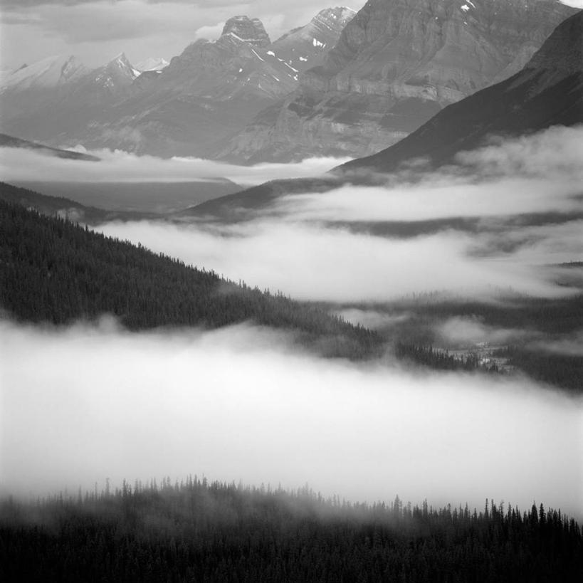 无人,方图,黑白,室外,白天,旅游,度假,美景,森林,山,山脉,雾,加拿大,景观,娱乐,树,风景,自然,享受,休闲,景色,放松,摄影,宁静,北美,国家公园,自然风光,班夫国家公园,洛矶山脉,加拿大落基山脉,地质学,亚伯达