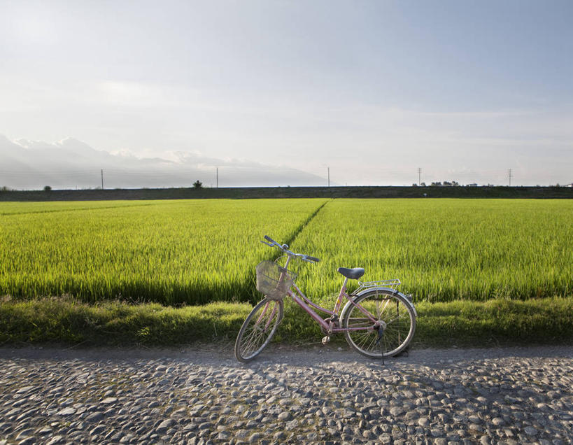 无人,农场,横图,室外,白天,农业,农作物,美景,路,自行车,汽车,大理,日光,亚洲,阴影,稻田,景观,田地,云,车,绿色,风景,天空,自然,交通工具,景色,运输,摄影,生长,宁静,自然风光,载具,云南省,彩图