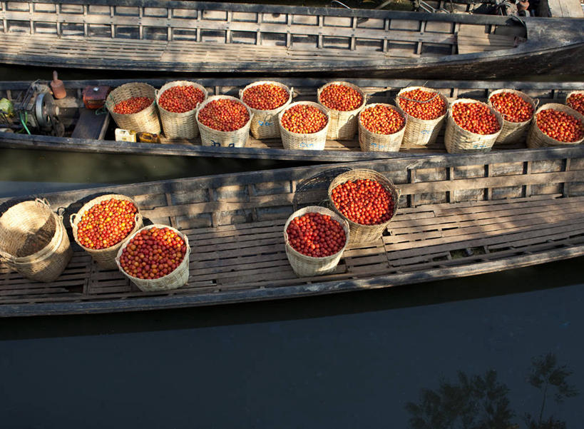 无人,横图,俯视,室外,白天,河流,水,船,蔬菜,西红柿,日光,缅甸,亚洲,阴影,丰富,漂浮,篮子,食品,市场,饮食,水上市场,红色,零售,运输,摄影,清新,贸易,健康食物,彩图,高角度拍摄,旅行,传统文化