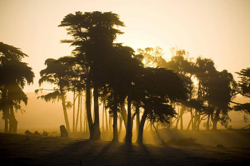 无人,横图,室外,旅游,度假,日出,美景,山,日光,美国,地形,景观,田地,黎明,娱乐,树,风景,天空,自然,享受,休闲,景色,放松,摄影,生长,宁静,北美,北美洲,早晨,加利福尼亚,自然风光,美洲,剪影,加州,加利福尼亚州,圣路易斯.奥比斯波,金州,黄金州,北亚美利加洲,亚美利加洲,圣路易斯奥比斯波,圣路易斯.奥比斯波县,坎布里亚,彩图,美利坚合众国