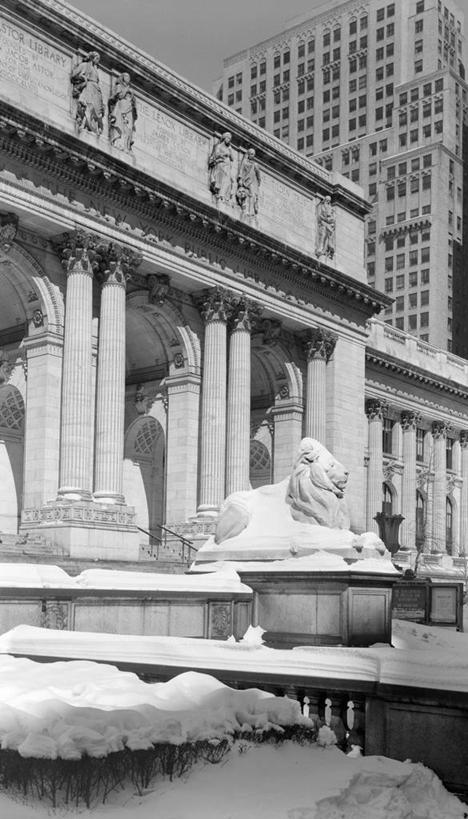 无人,竖图,黑白,室外,白天,仰视,雪,建筑,日光,纽约,美国,雕像,冬天,历史,地标建筑,寒冷,摄影,纽约公立图书馆,低角度拍摄