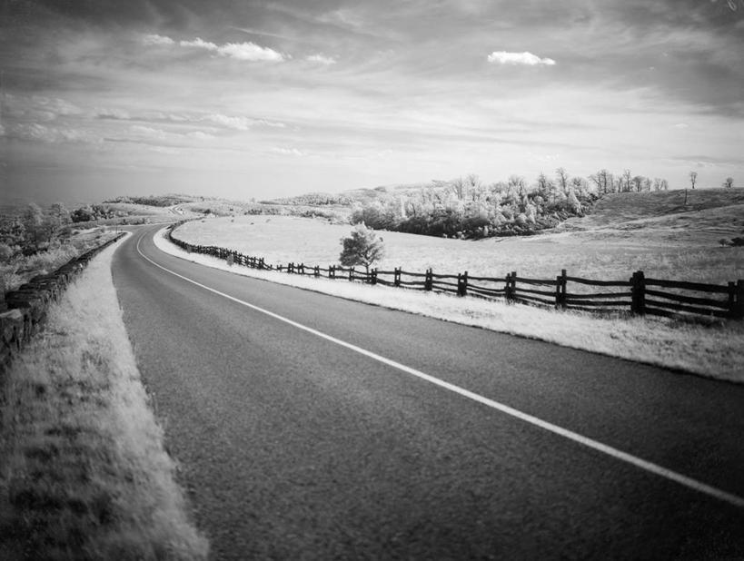 无人,农场,横图,黑白,室外,白天,农业,牧场,美景,公路,美国,木栅栏,景观,田地,风景,自然,景色,摄影,宁静,北美,北美洲,自然风光,美洲,北卡罗来纳州,北亚美利加洲,亚美利加洲,北卡罗来纳,焦油脚根之州,黑油鞋根之州,老北州,美利坚合众国