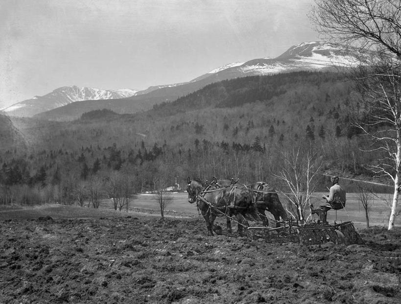 一个人,农民,农场,横图,黑白,室外,白天,农业,美景,马,美国,朦胧,模糊,地形,景观,田地,马车,自然,动物,两只,景色,摄影,牲畜,宁静,北美,北美洲,自然风光,美洲,新罕布什尔州,北亚美利加洲,亚美利加洲,新罕布什尔,新罕布夏州,花岗岩州,花冈岩之州,滑雪之州,新英格兰,纽英仑,耕地,华盛顿山,美利坚合众国,耕犁,阿巴拉契亚