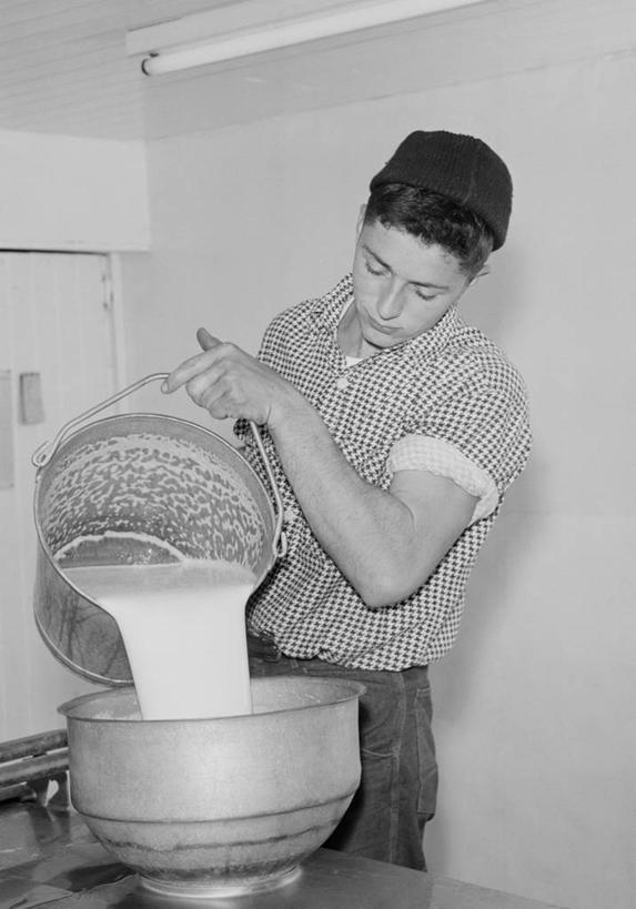 牛奶,西方人,成年人,一个人,站,竖图,黑白,室内,农业,机器,欧洲,美国,欧洲人,仅一个男性,仅一个人,倒,准备,拿着,休闲装,饮食,饮料,仅一个年轻男性,职业,机械,鸭舌帽,放松,摄影,专心,奶制品,清新,技能,男人,男性,年轻男性,白种人,年轻人,农业机械