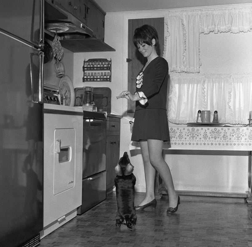 西方人,成年人,一个人,站,微笑,横图,方图,黑白,室内,白天,高跟鞋,友谊,厨房,狗,欧洲,纽约,美国,欧洲人,仅一个年轻女性,仅一个女性,仅一个人,冰箱,古典,拿着,小吃,摄影,肖像,迷你裙,德国猎犬,喂养,年轻女性,女人,女性,白种人,年轻人,给予