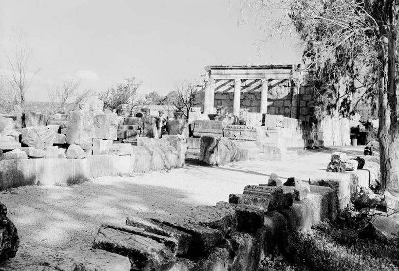 无人,横图,黑白,室外,白天,以色列,美国,小路,废墟,树,摄影,犹太教,古代文明,旧约,犹太教会堂