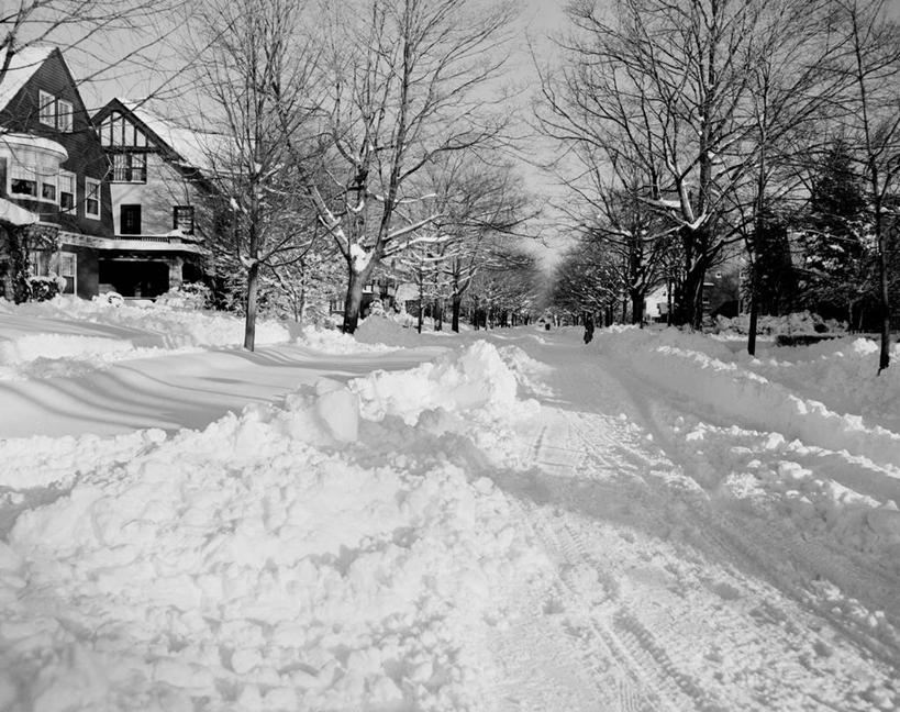 无人,横图,黑白,室外,白天,雪,建筑,美国,冬天,郊区,树,寒冷,摄影,宁静