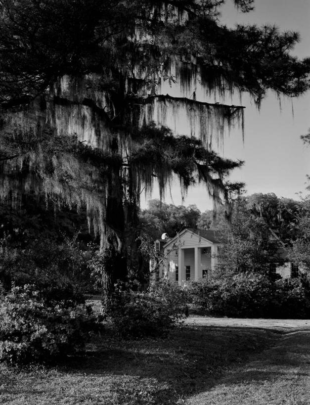 无人,竖图,黑白,室外,白天,建筑,美国,庭院,历史,树,财富,摄影,灌木,北美,北美洲,美洲,豪宅,美国文化,南卡罗来纳州,北亚美利加洲,亚美利加洲,南卡罗来纳,扇榈之州,矮棕榈之州,美利坚合众国