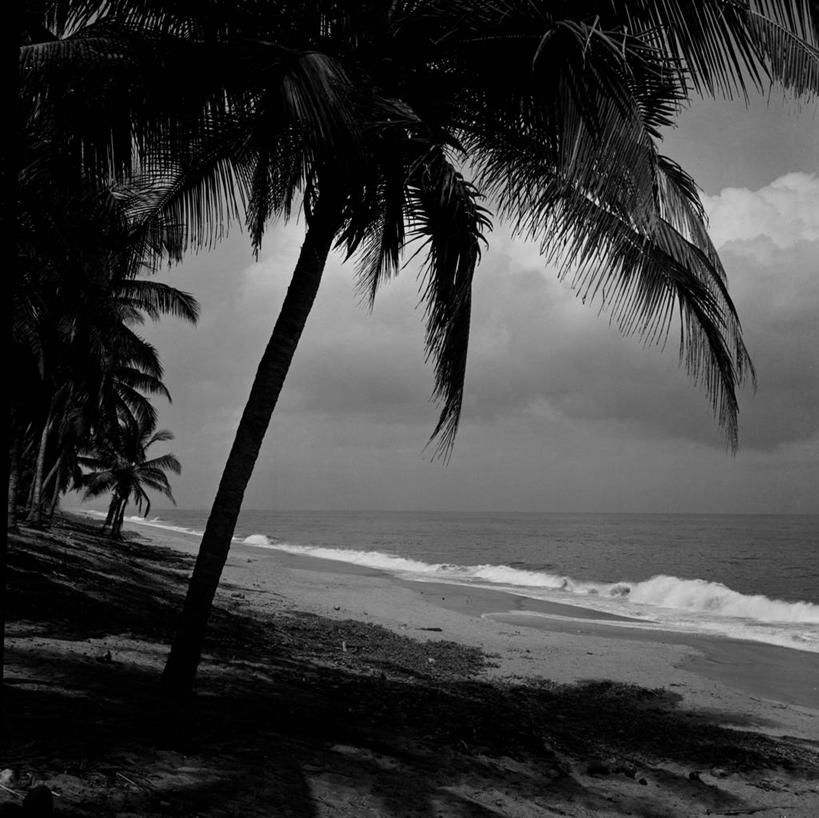 无人,横图,方图,黑白,室外,白天,旅游,度假,海浪,海洋,美景,棕榈树,非洲,美国,阴影,沙子,地平线,海岸线,景观,水平线,云,娱乐,树,风景,自然,享受,休闲,景色,大西洋,放松,摄影,宁静,热带气候,自然风光,阿非利加洲,西非,科特迪瓦,科特迪瓦共和国,象牙海岸,海滩,潟湖区,阿必尚,阿比让省,阿比让