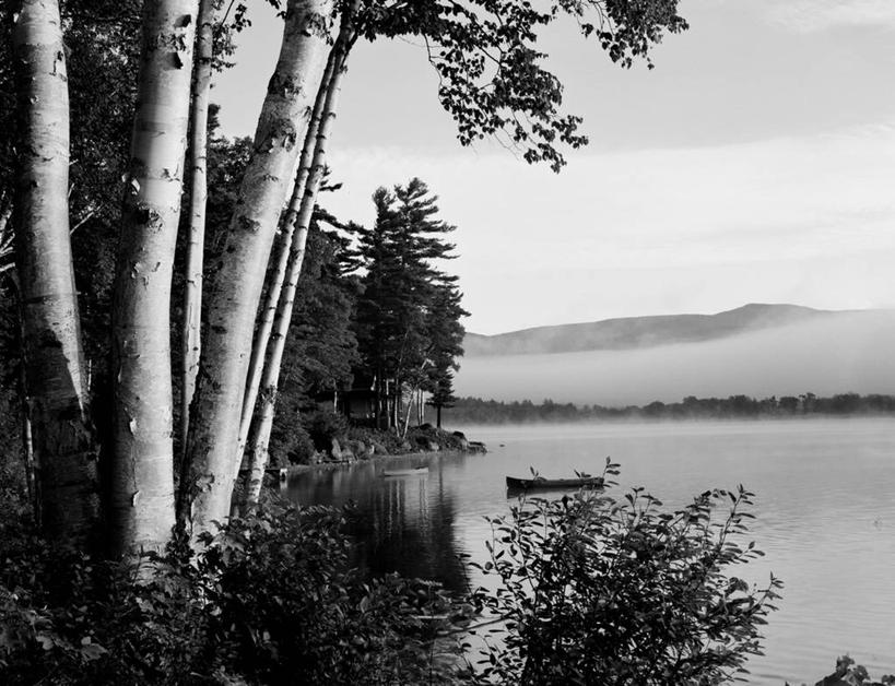 划船,划艇,无人,家,横图,黑白,室外,白天,森林,山,雾,别墅,美国,反射,房屋,屋子,地形,公寓,洋房,楼房,住宅,树干,风景,摄影,白桦,灌木,宁静,焊接,早晨,缅因州,房子
