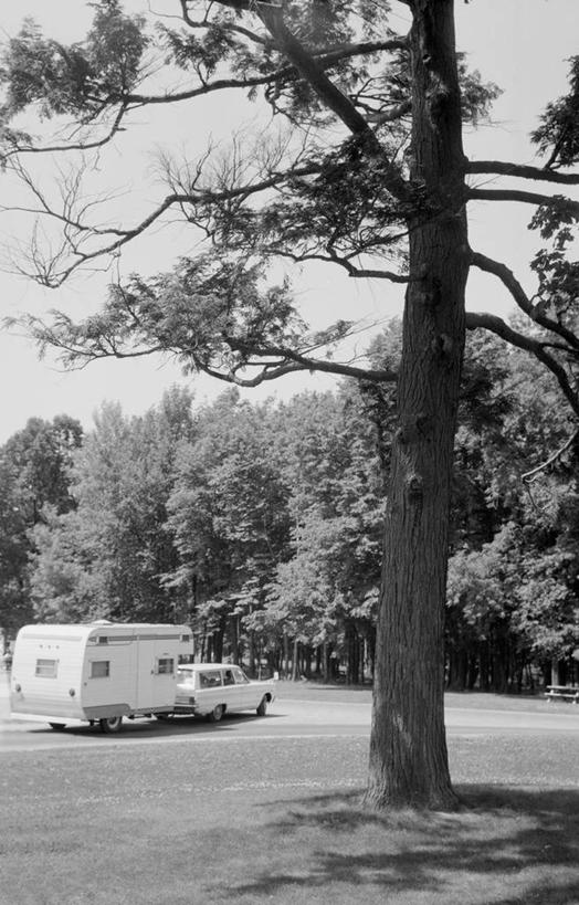无人,公园,竖图,黑白,室外,白天,旅游,汽车,美国,地形,树,运输,摄影,自驾游,旅行