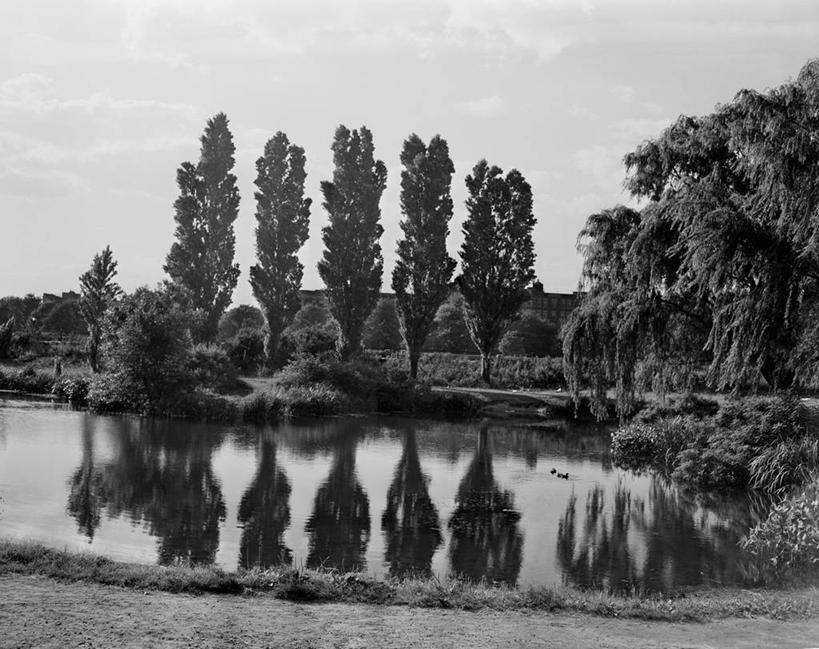 无人,公园,横图,黑白,室外,白天,湖,美国,一排,整齐,反射,小路,树,排列,风景,摄影,宁静,队列,波士顿,马萨诸塞