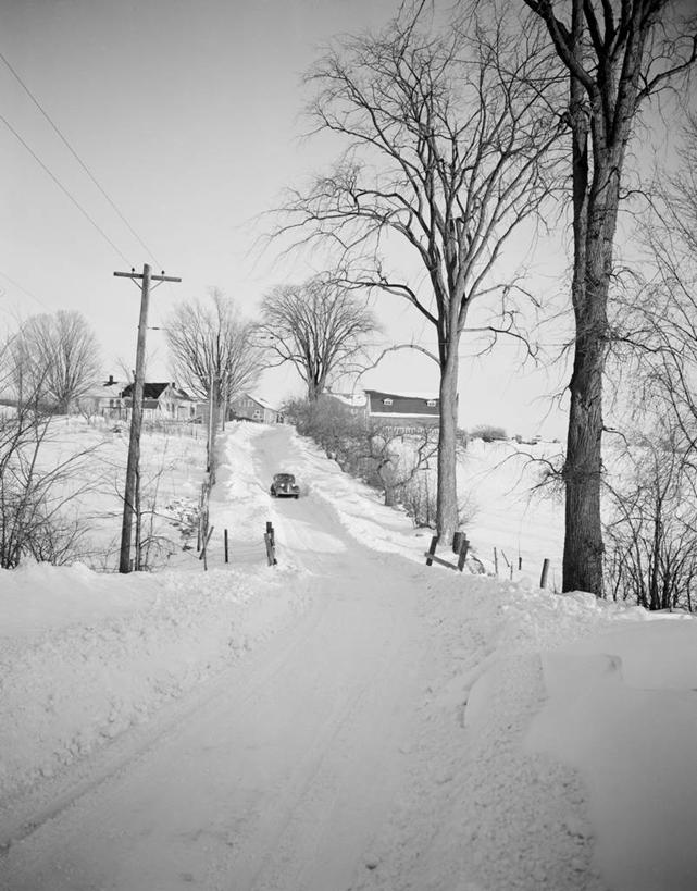无人,竖图,黑白,室外,白天,美景,雪,路,美国,地形,景观,田地,乡村,冬天,树,自然,景色,摄影,自然风光,马萨诸塞,亚当斯