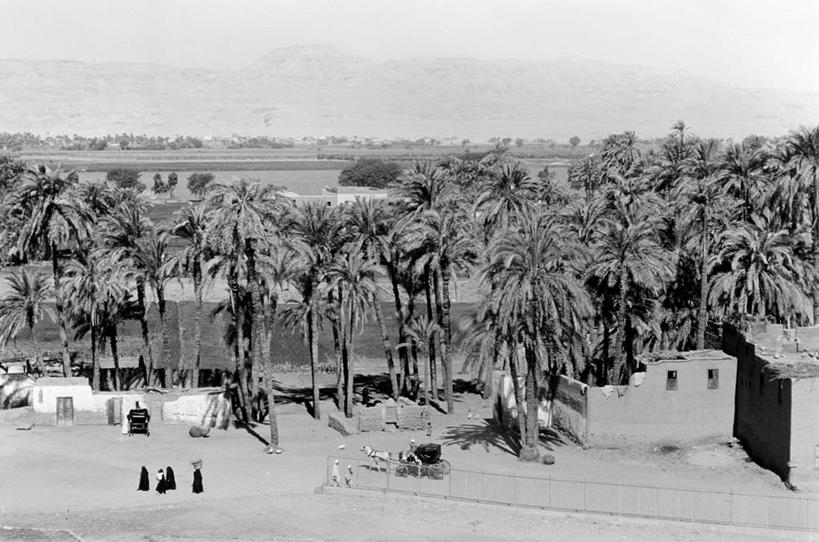 横图,俯视,黑白,室外,白天,沙漠,山,建筑,棕榈树,埃及,房屋,地平线,辽阔,地面,热,广阔,摄影,绿洲,一望无际,中东,延伸,卡尔纳克神殿,天地相交,埃及文化,无边无际,一马平川,高角度拍摄,旅行