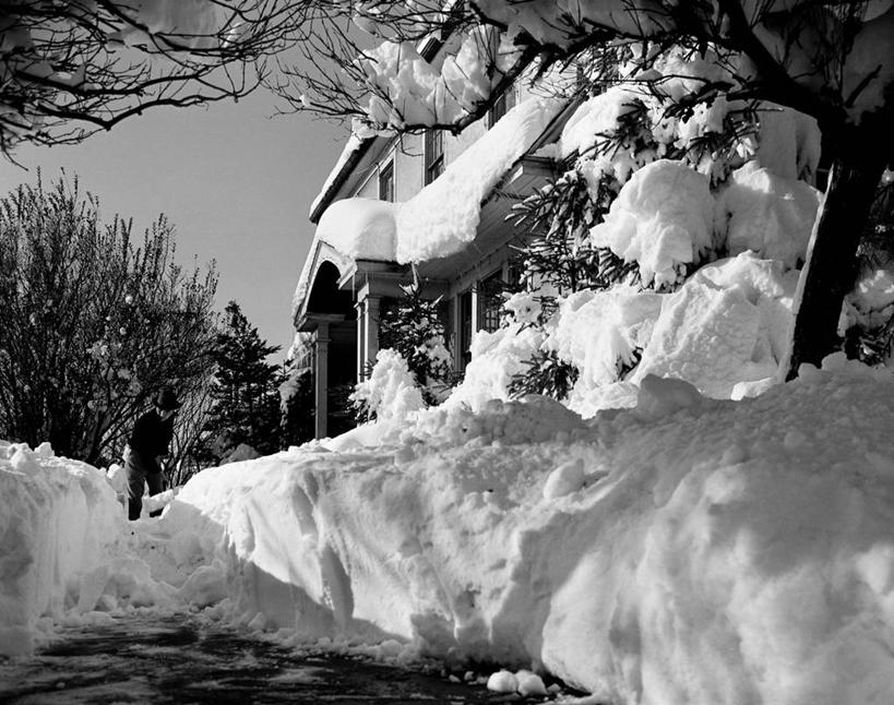 西方人,成年人,一个人,站,横图,黑白,室外,白天,仰视,雪山,欧洲,纽约,美国,欧洲人,仅一个男性,弯腰,朦胧,模糊,庭院,冬天,小路,天气,拿着,寒冷,摄影,奋斗,挖掘,关爱,努力,长岛,纽约州,法拉盛,除雪板,除雪铲,清雪板,清雪铲,扫雪板,扫雪铲,推雪板,推雪铲,白种人,低角度拍摄,家务劳动,花园路