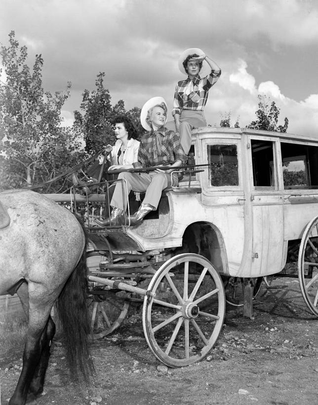 成年人,三个人,牛仔,站,坐,竖图,黑白,室外,白天,马,帽子,美国,古典,车轮,运输,摄影,部分,美国文化,科罗拉多州,牧牛工,牧牛人,牧童