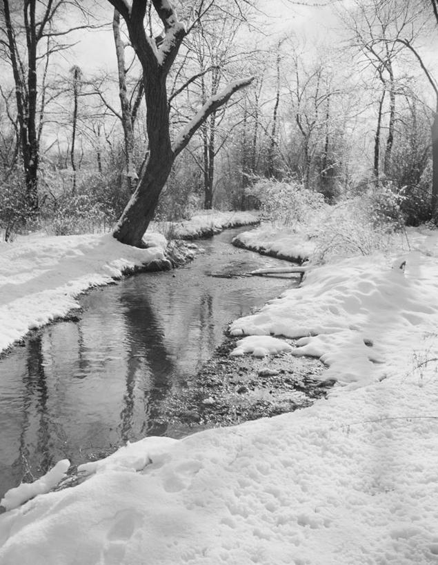 无人,竖图,黑白,室外,白天,森林,雪,美国,地形,冬天,风景,小溪,摄影,宁静