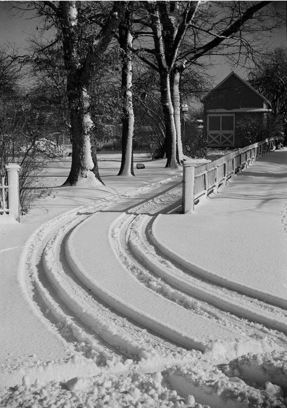无人,农场,竖图,黑白,室外,白天,雪,美国,乡村,冬天,车道,摄影,宁静,轮胎印