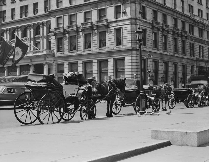 无人,站,横图,黑白,室外,白天,旅游,城市,街道,马,纽约,美国,三只,一排,整齐,排列,运输,摄影,队列,第五大道,旅行,59街