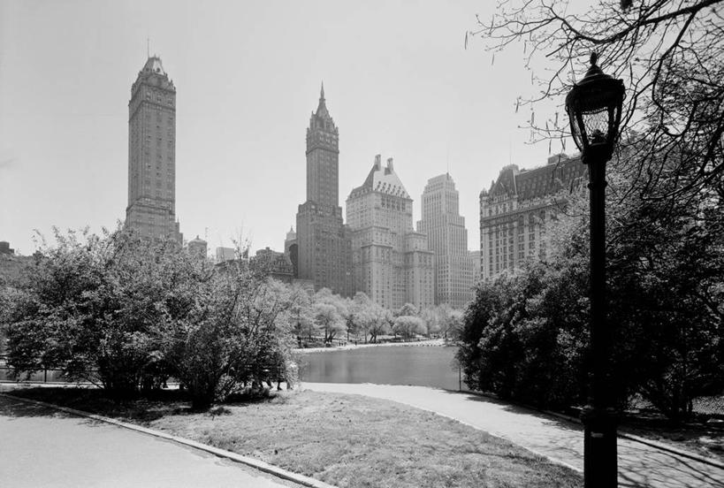 无人,公园,横图,黑白,室外,白天,草坪,天际线,建筑,摩天大楼,纽约,美国,灯笼,古典,树,摄影,灌木,第五大道,中央公园,纽约州