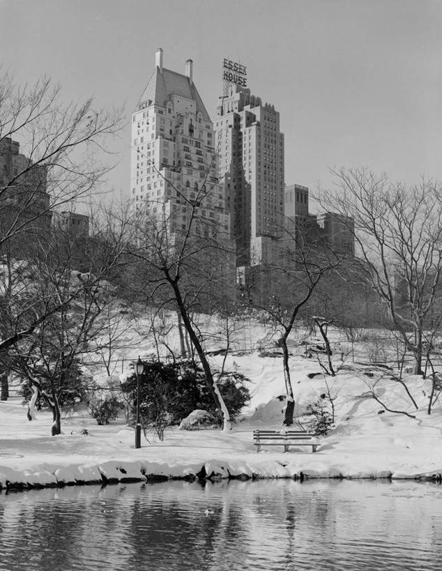 无人,公园,竖图,黑白,室外,白天,湖,天际线,雪,摩天大楼,纽约,美国,冬天,曼哈顿,树,摄影,宁静,中央公园