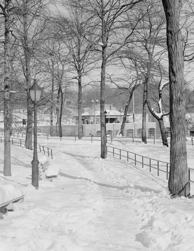 无人,公园,竖图,黑白,室外,白天,雪,纽约,美国,冬天,曼哈顿,树,摄影,宁静,中央公园