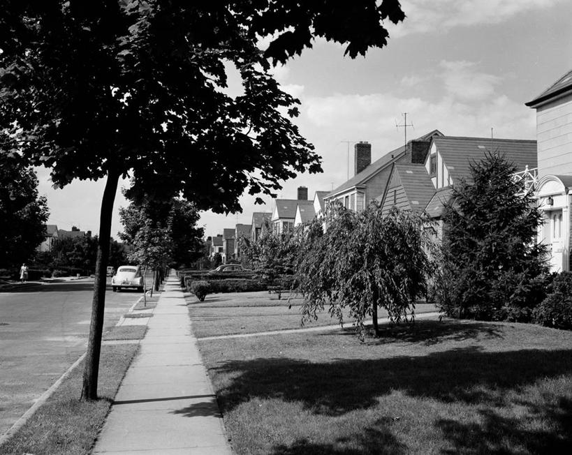 无人,横图,黑白,室外,白天,草坪,建筑,街道,日光,美国,房屋,郊区,树,摄影,宁静,透视图