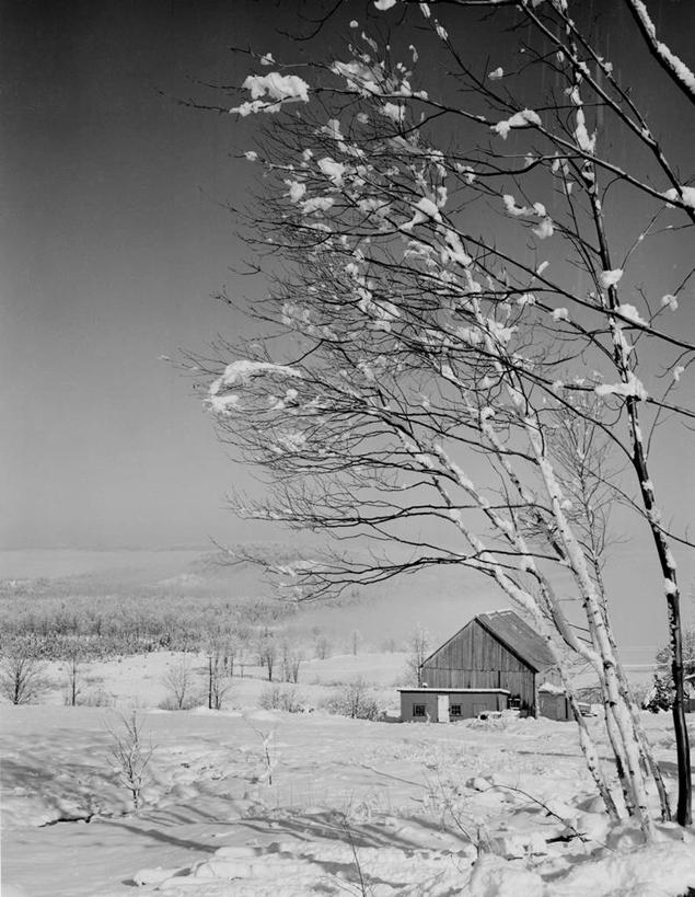 无人,竖图,黑白,室外,白天,美景,雪,雾,建筑,美国,景观,冬天,古典,自然,景色,寒冷,摄影,白桦,宁静,北美,北美洲,自然风光,美洲,新罕布什尔州,北亚美利加洲,亚美利加洲,新罕布什尔,新罕布夏州,花岗岩州,花冈岩之州,滑雪之州,新英格兰,兰开斯特,纽英仑,彩图,美利坚合众国