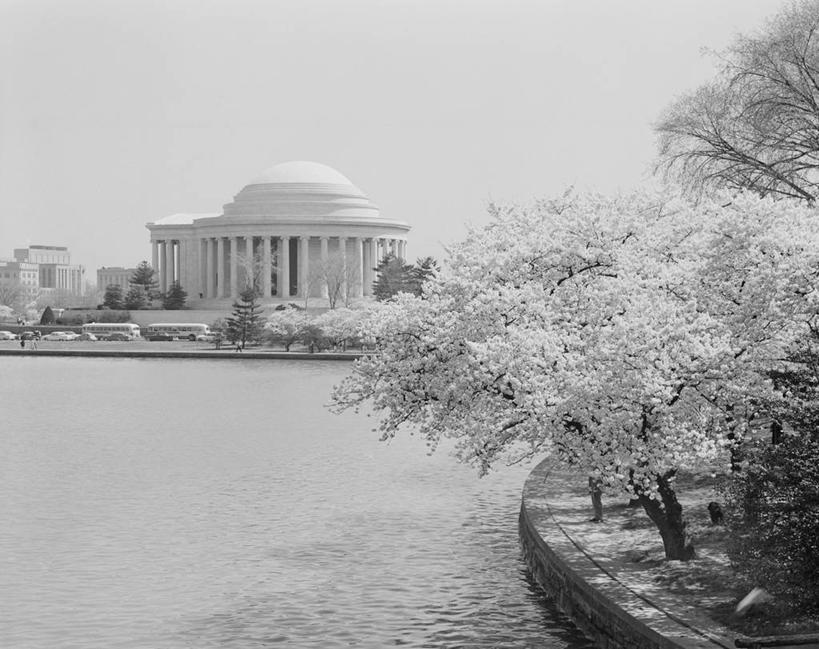 无人,横图,俯视,黑白,室外,白天,骄傲,美景,建筑,日光,美国,景观,首都,历史,水库,风景,自然,春天,景色,摄影,宁静,自然风光,美国文化,华盛顿特区,杰斐逊纪念堂,彩图,高角度拍摄