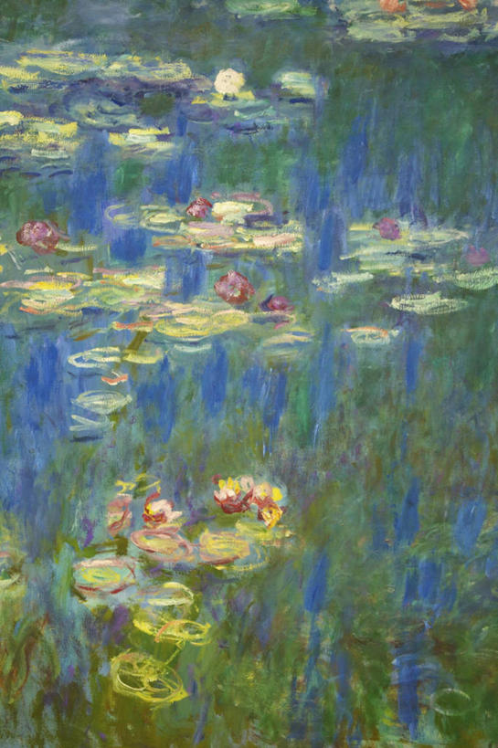 无人,竖图,插画,室外,白天,数码,科技,湖,河流,美景,水,睡莲,叶子,油画,阴影,漂浮,艺术,网络,景观,高光,几何,计算机图形,合成,图画,画,自然,景色,宁静,电脑合成图,数码合成图,合成图,自然风光,漫画,写实,具体,具象,美术工艺,莫奈,彩图